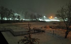 Pensiunea La Nenea Iancu